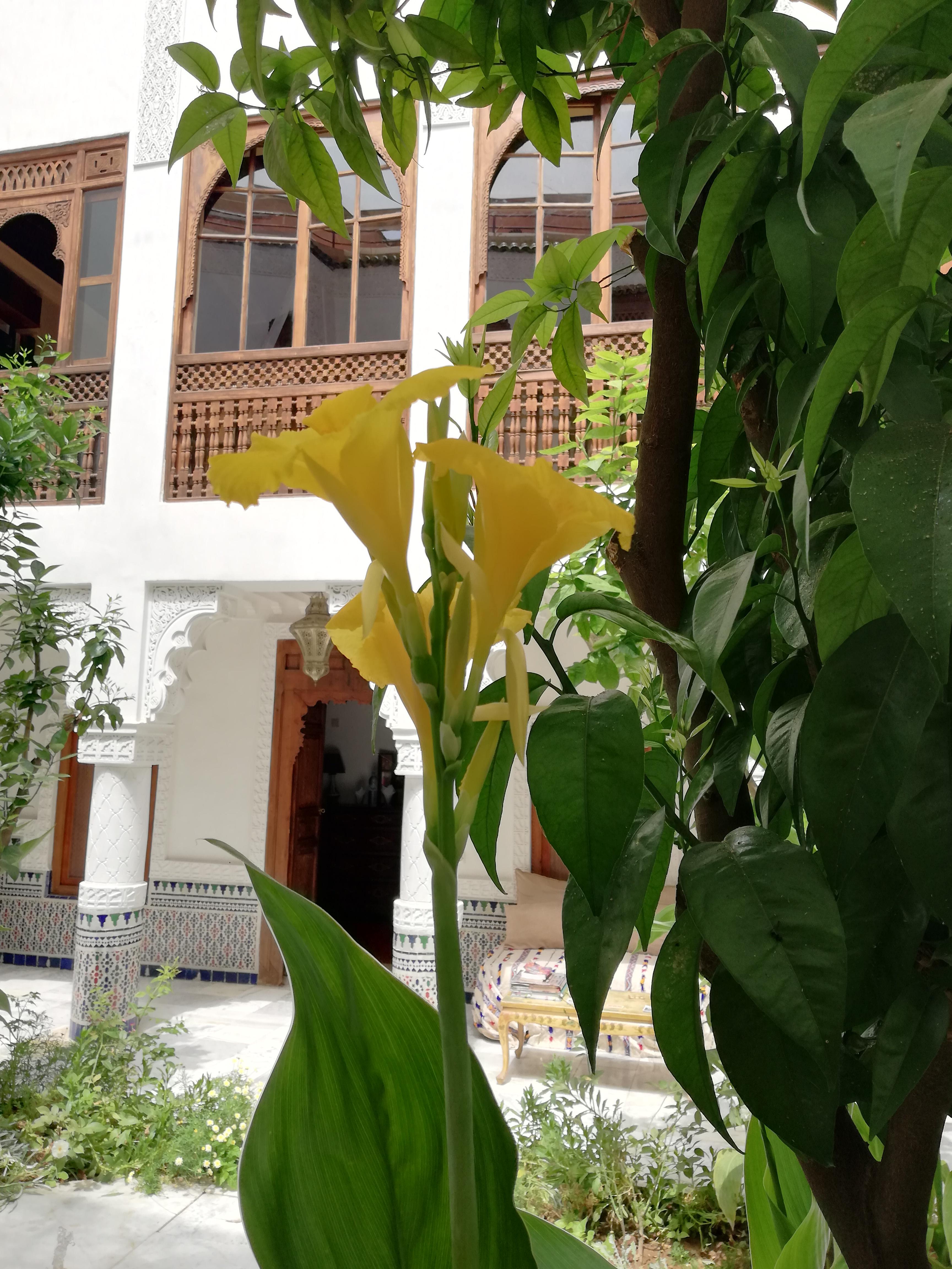 Riad Ben Youssef Marrakesh Buitenkant foto